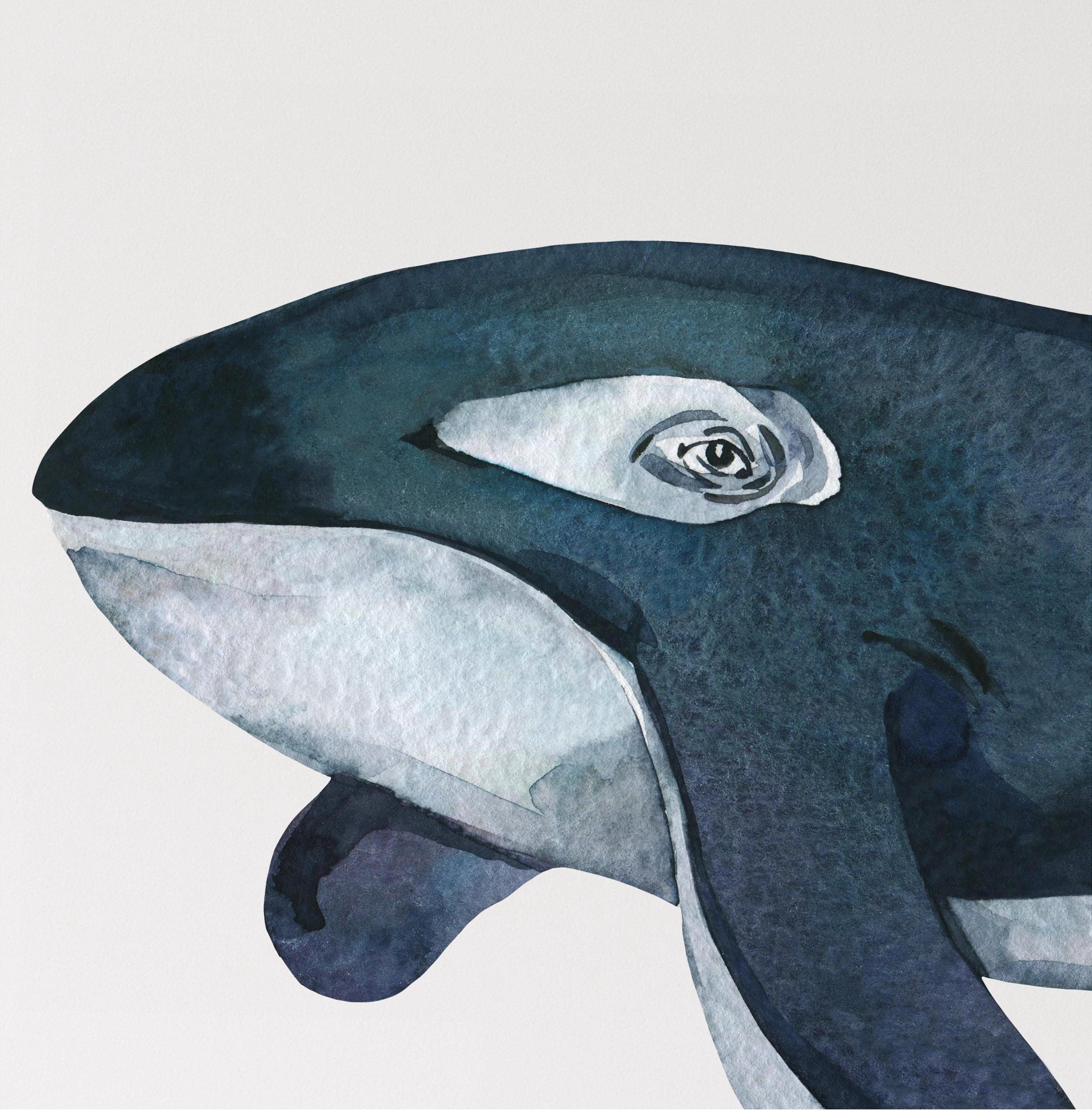 Whimsical Orca Killer Whale Wall Decal Sticker Removable | Whale Nursery Decor | Repositionable Fabric Decal | Peel and Stick