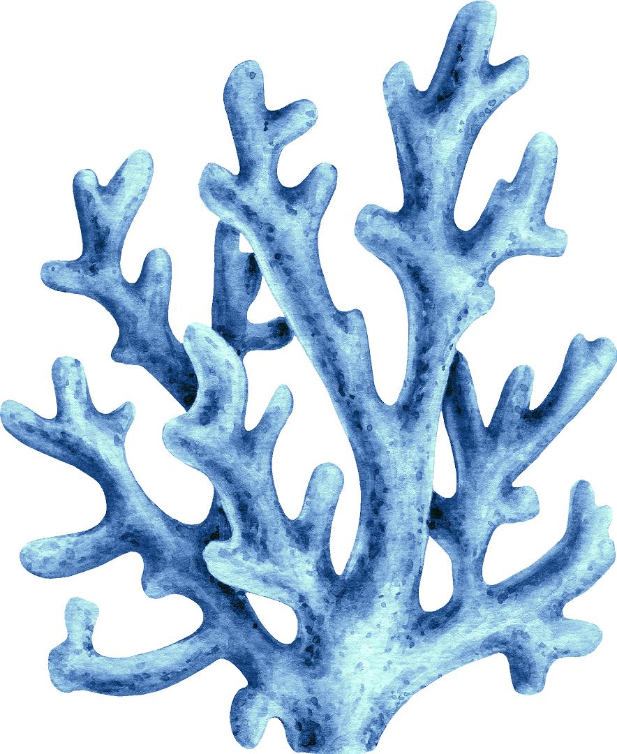 Watercolor Baby Blue Coral Wall Decal Coral Reef Sea Life Marine Deep Sea Ocean Wall Sticker | DecalBaby