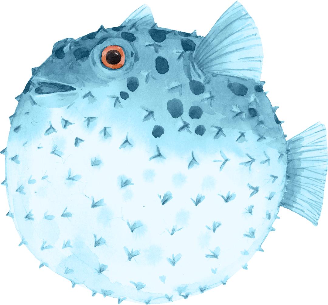 Pufferfish Wall Decal Ocean Sea Life Removable Fabric Wall Sticker | DecalBaby