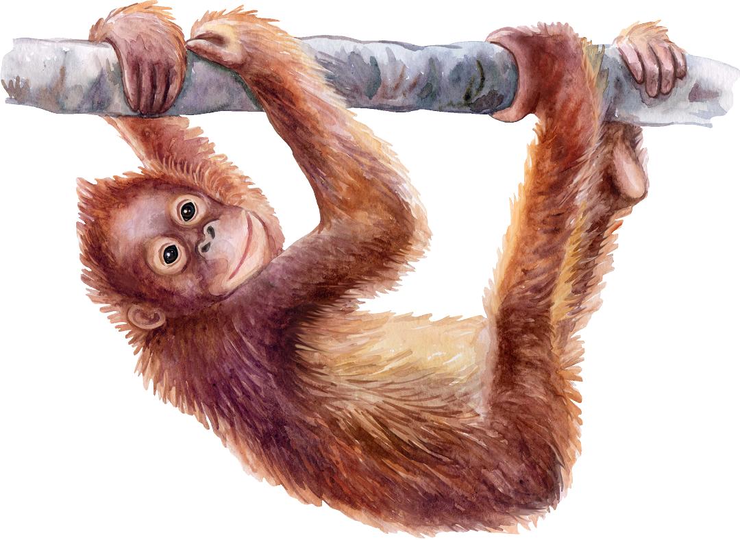 Baby Orangutan Wall Decal Safari Animal Removable Fabric Wall Sticker | DecalBaby