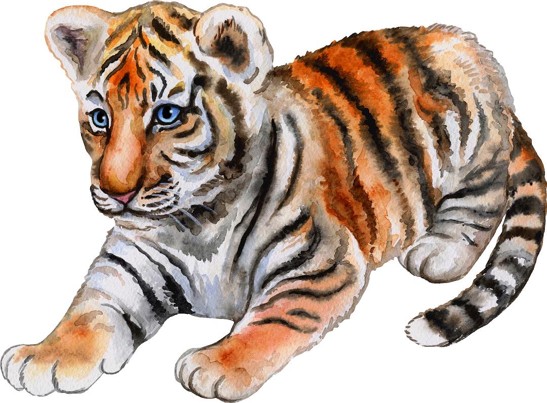 Baby Tiger Cub #1 Wall Decal Safari Animal Wall Sticker Removable Fabric Vinyl | DecalBaby