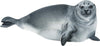 Baikal Seal Wall Decal Watercolor Earless Seal Sea Animal Pacific Ocean Seal Wall Sticker | DecalBaby