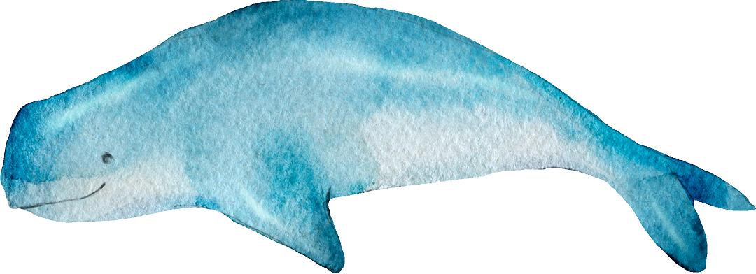 Blue Beluga Wall Decal Removable Fabric Wall Sticker | DecalBaby