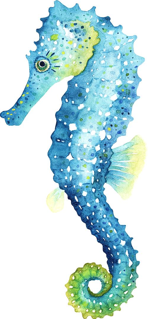 Blue Green Seahorse Wall Decal Ocean Sea Life Removable Fabric Wall Sticker | DecalBaby