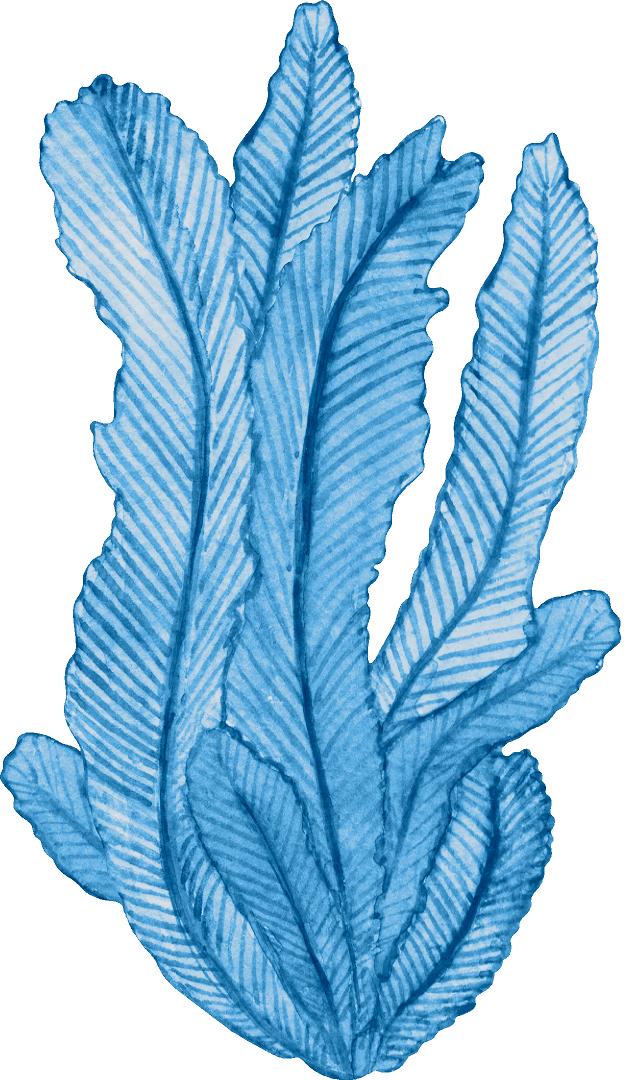 Blue Seaweed #1 Wall Decal Watercolor Seaweed Sea Life Marine Algae Deep Sea Ocean Wall Sticker | DecalBaby