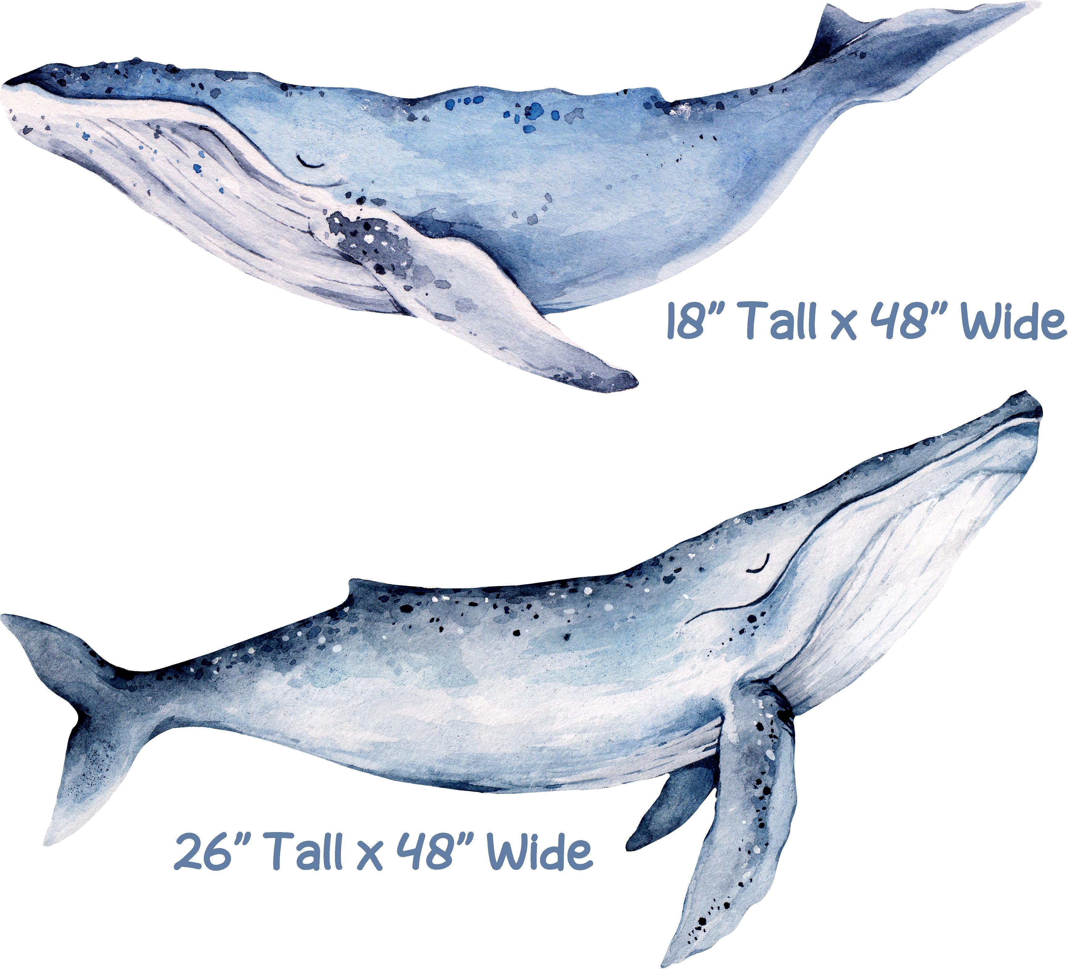 Blue Whale Set of 2 Wall Decal Ocean Sea Life Removable Fabric Wall Sticker | DecalBaby