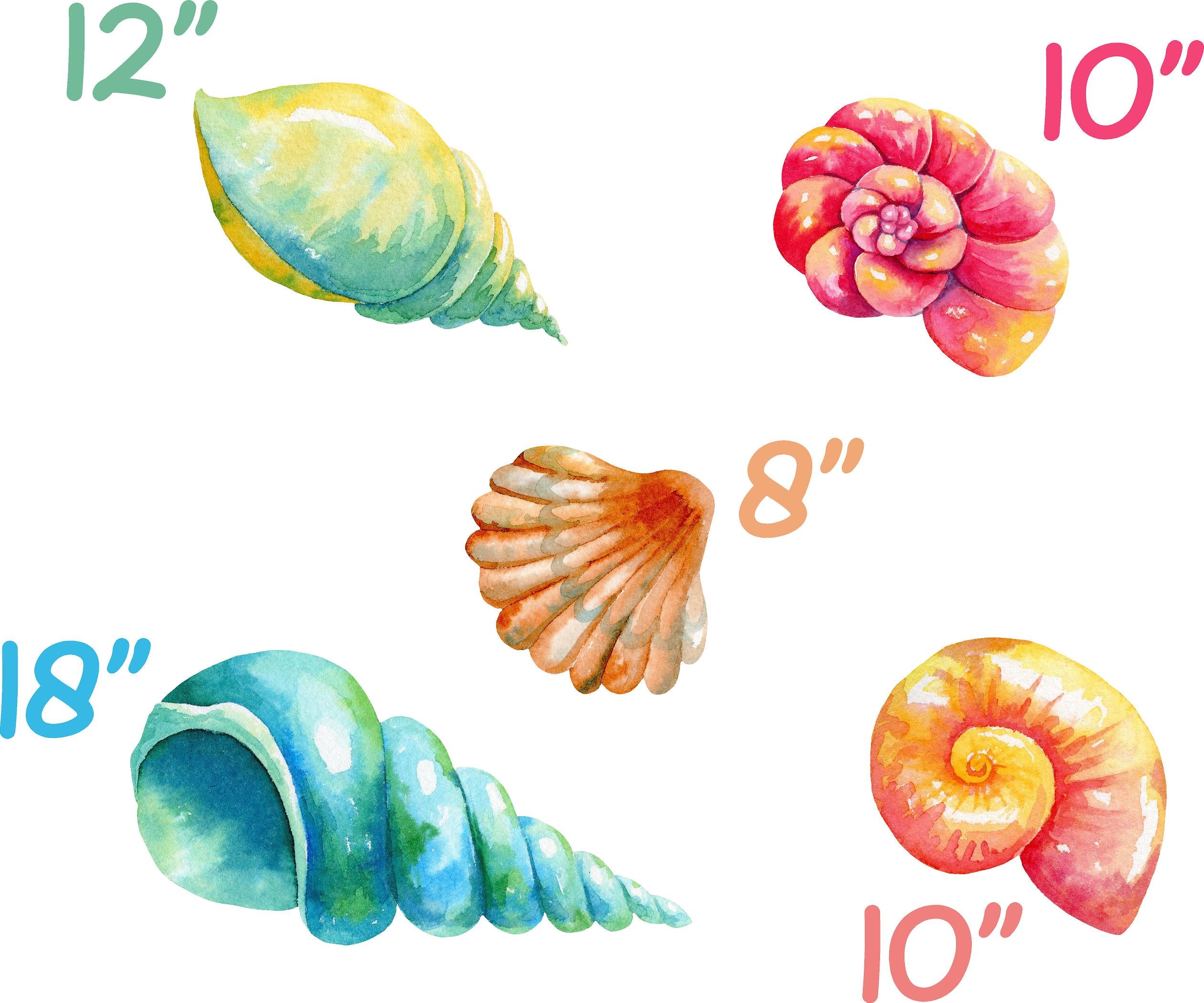 Colorful Seashells Set Wall Decal Set of 5 Watercolor Wall Sticker Under The Sea Ocean Shells | DecalBaby