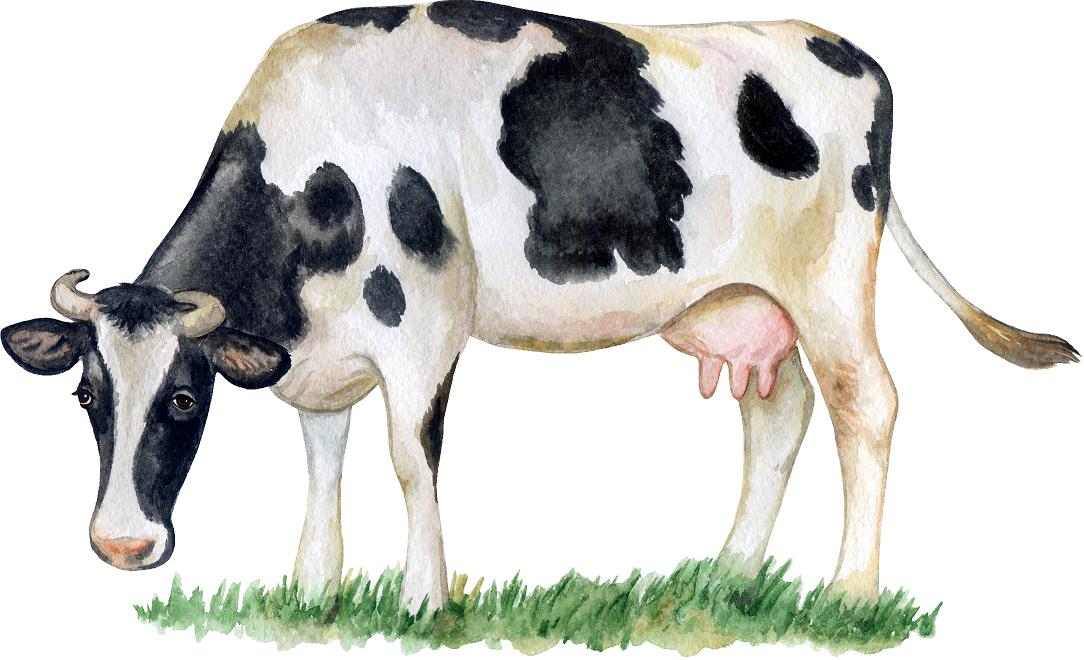 Farm Cow Wall Decal Farm Animal Removable Fabric Wall Sticker | DecalBaby