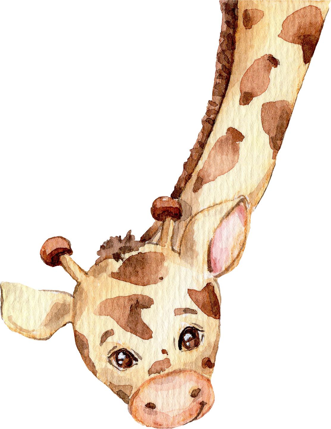 Baby Giraffe Wall Decal Safari Animal Fabric Wall Sticker | DecalBaby