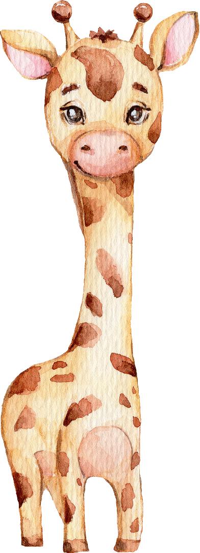 Baby Giraffe #3 Wall Decal Safari Animal Fabric Wall Sticker | DecalBaby