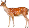 Doe Female Deer Wall Decal Woodland Forest Animal Fabric Wall Sticker | DecalBaby