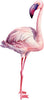 Load image into Gallery viewer, Watercolor Pink Flamingo #4 Wall Decal Tropical Bird Safari Animal Wall Sticker | DecalBaby