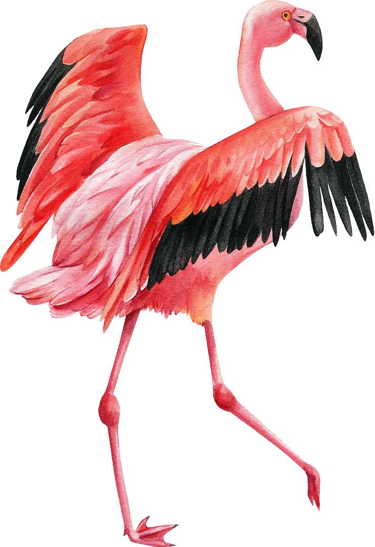 Watercolor Pink Flamingo #5 Wall Decal Tropical Bird Safari Animal Wall Sticker | DecalBaby