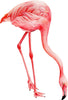 Watercolor Pink Flamingo #6 Wall Decal Tropical Bird Safari Animal Wall Sticker | DecalBaby