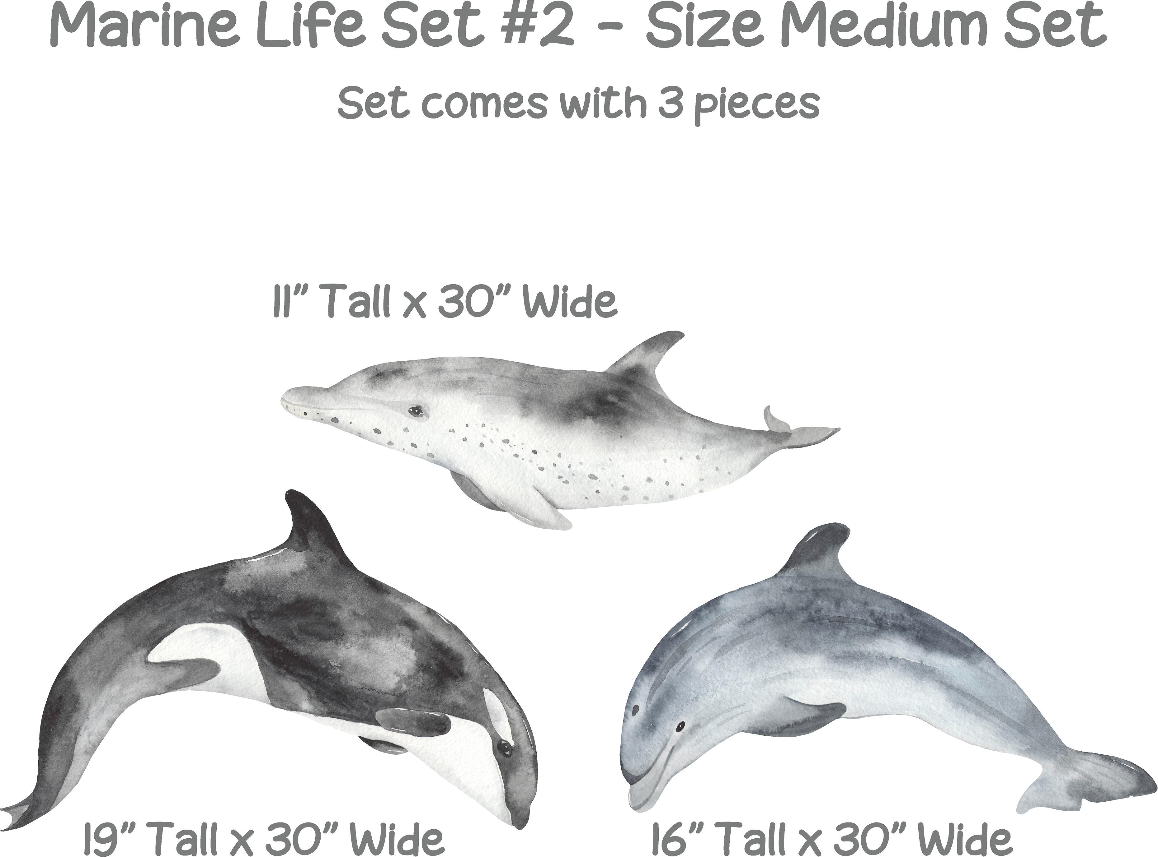 Gray Marine Life Set #2 Wall Decal Ocean Sea Life Removable Fabric Wall Sticker | DecalBaby