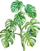 Green Monstera Tree #1 Wall Decal Safari Removable Fabric Wall Sticker | DecalBaby