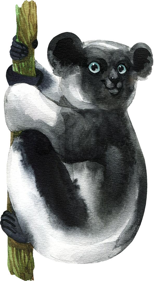 Indri Lemur Wall Decal Safari Animal Wall Sticker Removable Fabric Vinyl | DecalBaby