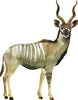 Kudu Antelope Wall Decal African Safari Animal Fabric Wall Sticker | DecalBaby