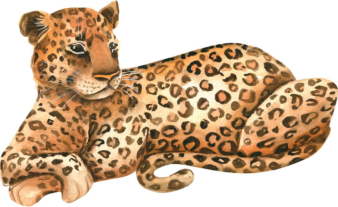 Leopard #3 Wall Decal Safari Animal Removable Fabric Wall Sticker | DecalBaby