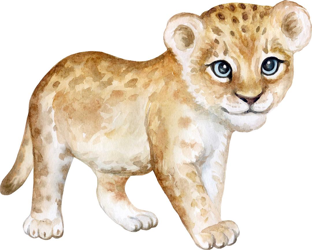 Baby Lion Cub #1 Wall Decal Safari Animal Wall Sticker Removable Fabric Vinyl | DecalBaby