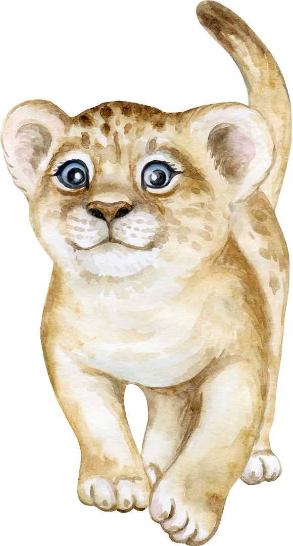 Baby Lion Cub #2 Wall Decal Safari Animal Wall Sticker Removable Fabric Vinyl | DecalBaby