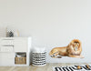 Lion #2 Wall Decal Africa Safari Animal Removable Fabric Wall Sticker | DecalBaby
