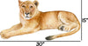 Lioness Mother Lion Wall Decal Safari Animal Fabric Wall Sticker | DecalBaby