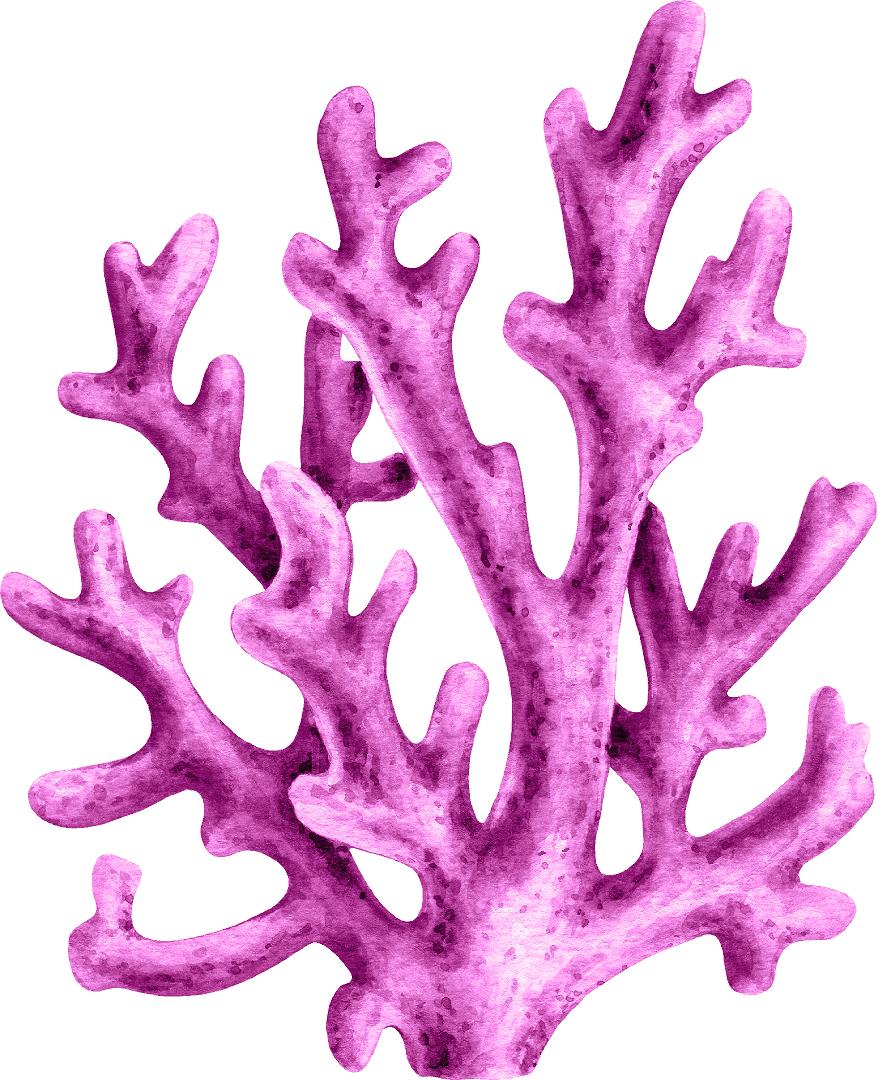 Watercolor Magenta Coral Wall Decal Coral Reef Sea Life Marine Deep Sea Ocean Wall Sticker | DecalBaby