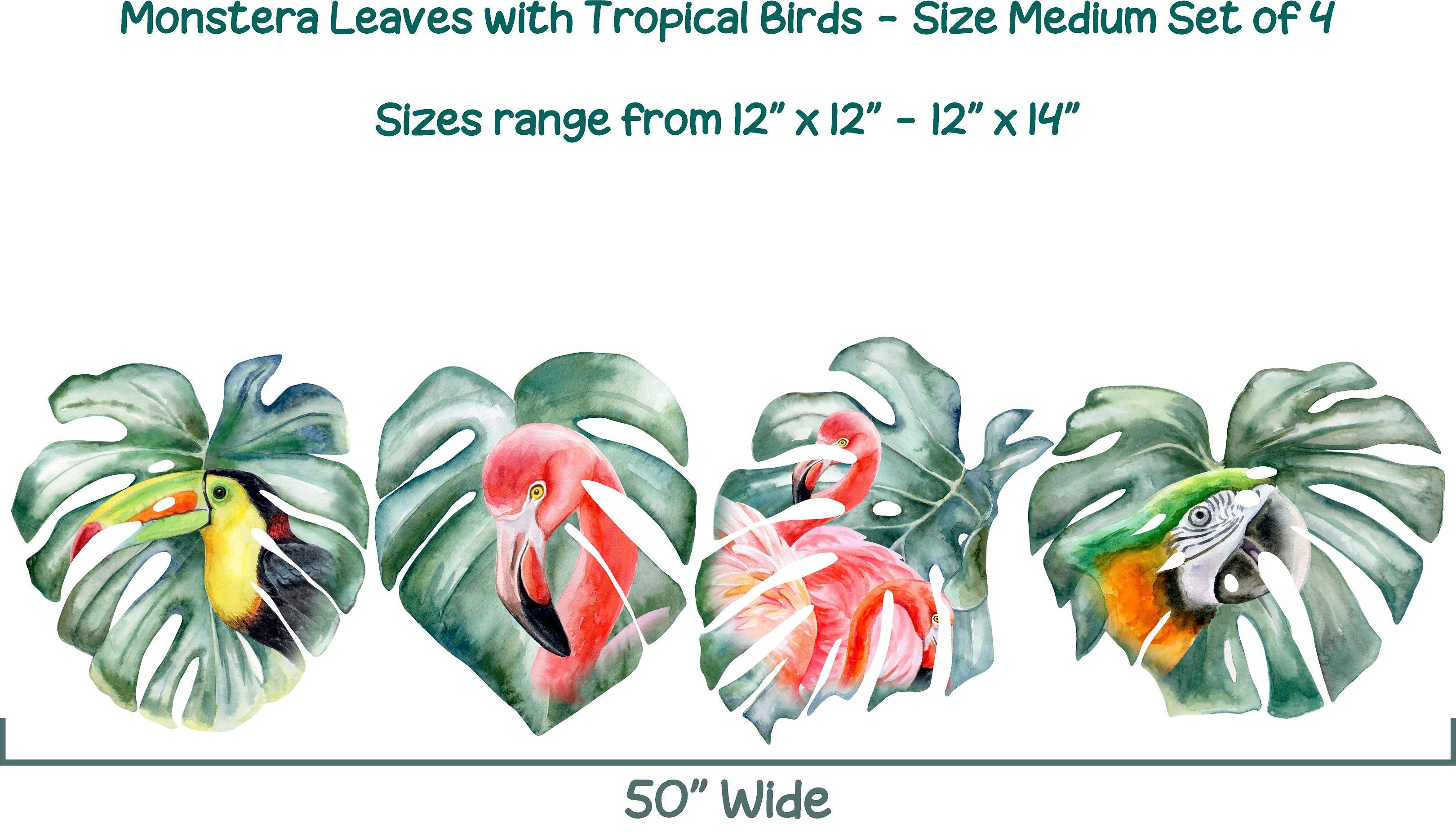 Monstera Leaves with Colorful Tropical Birds Wall Decal Set Safari MEDIUM Set of 4 | DecalBaby
