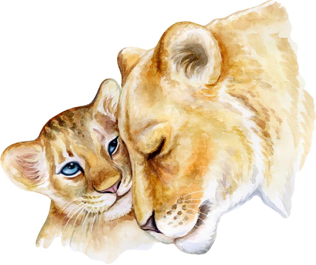 Mother Lion & Cub Wall Decal Safari Animal Fabric Wall Sticker | DecalBaby
