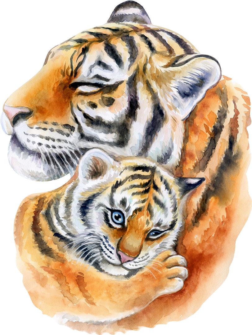 Mother Tiger Hugging Baby Cub Wall Decal Safari Animal Fabric Wall Sticker | DecalBaby