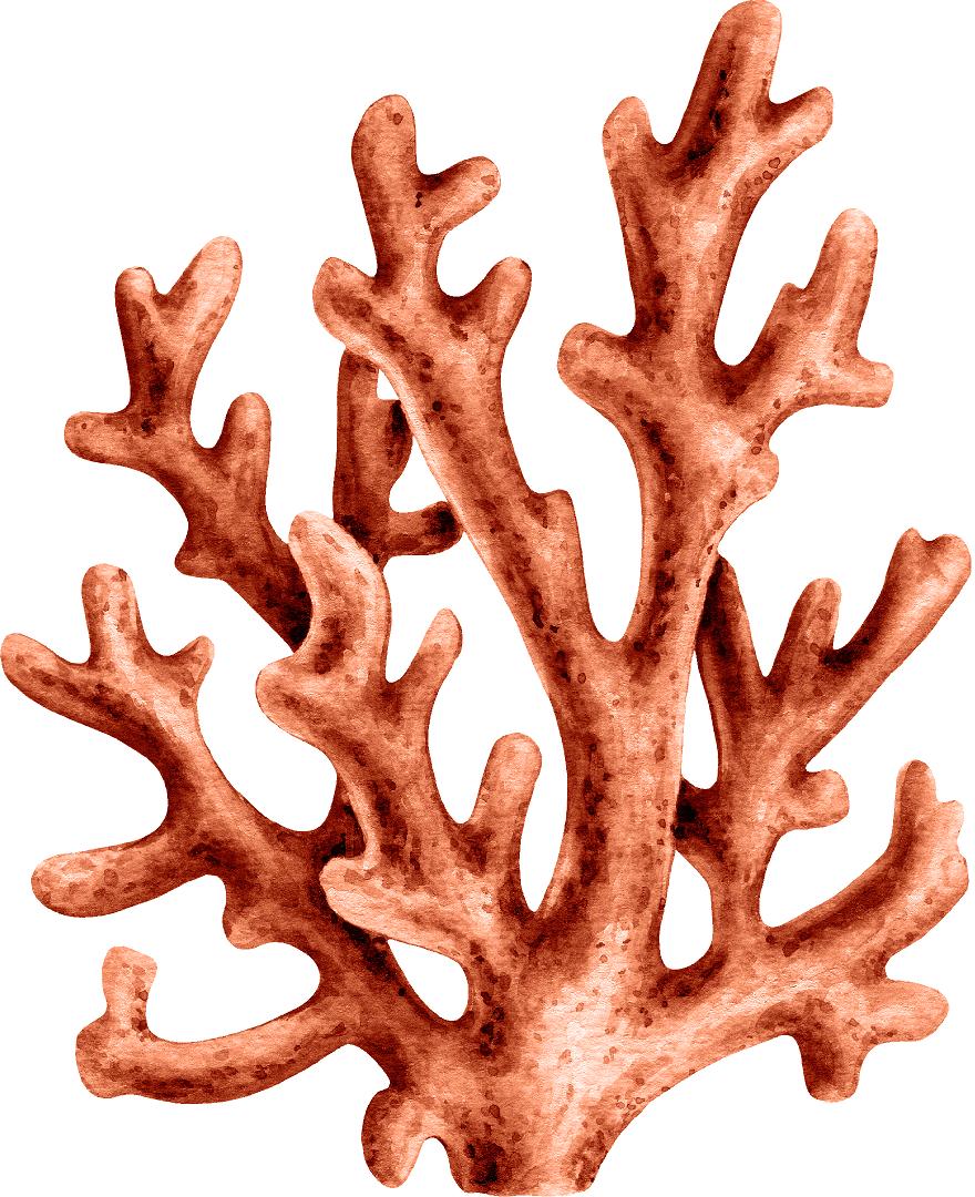Watercolor Orange Coral Wall Decal Coral Reef Sea Life Marine Deep Sea Ocean Wall Sticker | DecalBaby