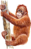 Load image into Gallery viewer, Orangutan Wall Decal Safari Animal Removable Fabric Wall Sticker | DecalBaby