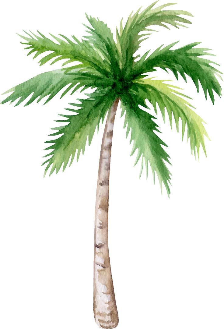 Palm Tree Wall Decal Safari Removable Fabric Wall Sticker | DecalBaby