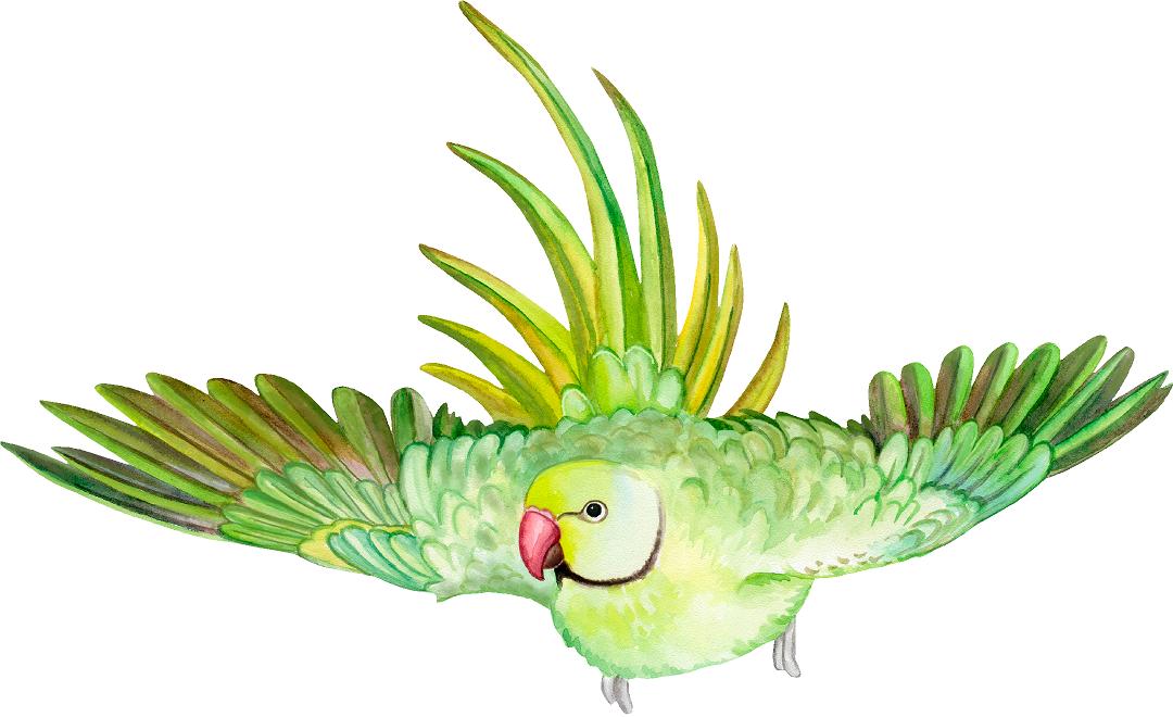 Parakeet Parrot Wall Decal Safari Removable Fabric Wall Sticker | DecalBaby