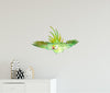 Load image into Gallery viewer, Parakeet Parrot Wall Decal Safari Removable Fabric Wall Sticker | DecalBaby