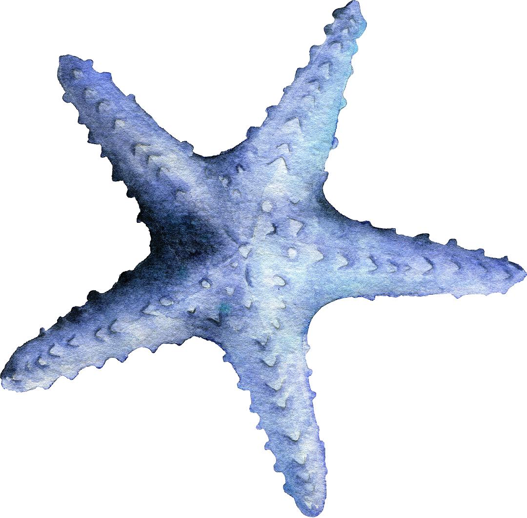 Periwinkle Starfish Wall Decal Ocean Sea Life Removable Fabric Wall Sticker | DecalBaby