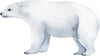 Polar Bear #2 Wall Decal Arctic Ocean Sea Animals Watercolor Wall Sticker | DecalBaby