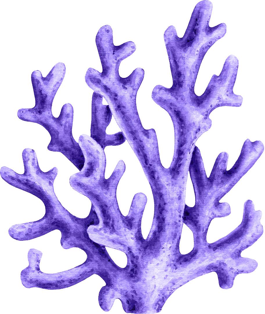 Watercolor Purple Coral Wall Decal Coral Reef Sea Life Marine Deep Sea Ocean Wall Sticker | DecalBaby