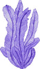 Purple Seaweed #1 Wall Decal Watercolor Seaweed Sea Life Marine Algae Deep Sea Ocean Wall Sticker | DecalBaby