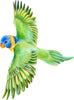 Load image into Gallery viewer, Rainbow Lorikeet Parrot Flying Wall Decal Safari Removable Fabric Wall Sticker | DecalBaby