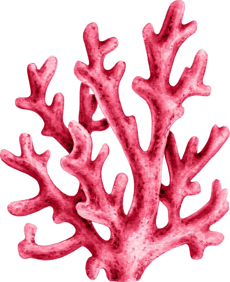 Nucleair Draad Plagen Watercolor Red Coral Wall Decal Coral Reef Sea Life Marine Deep Sea Oc –  DecalBaby