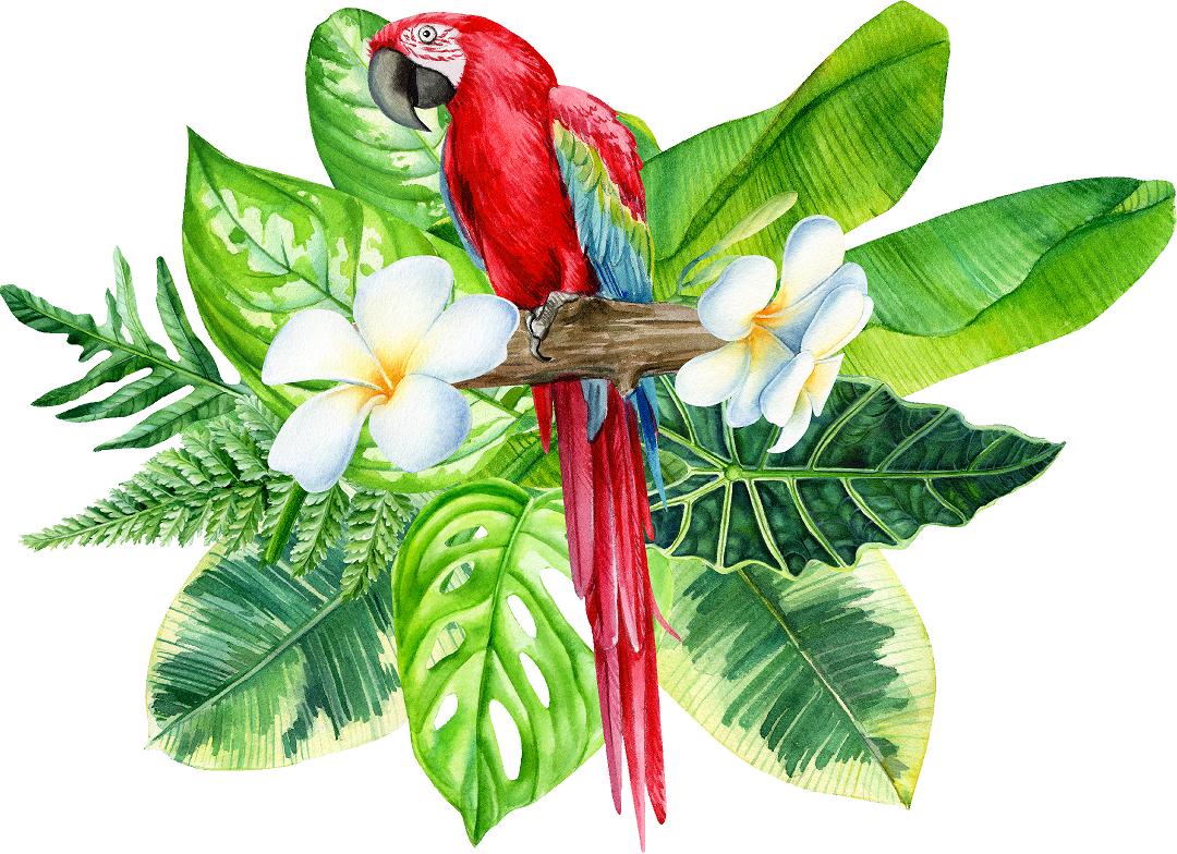 Red Parrot Tropical Leaves & Flowers Wall Sticker | DecalBaby