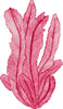 Red Seaweed #1 Wall Decal Watercolor Seaweed Sea Life Marine Algae Deep Sea Ocean Wall Sticker | DecalBaby