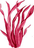 Load image into Gallery viewer, Red Seaweed #2 Wall Decal Watercolor Seaweed Sea Life Marine Algae Deep Sea Ocean Wall Sticker | DecalBaby