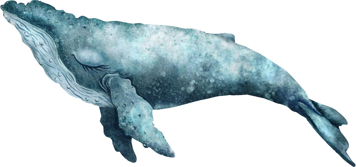 Sleepy Aqua Humpback Whale Wall Decal Removable Fabric Vinyl Sea Animal Wall Sticker | DecalBaby