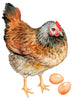 Speckled Hen with Eggs Wall Decal Chicken Farm Animal Fabric Wall Sticker | DecalBaby