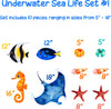 Underwater Sea Life Set #1 Wall Decal Sea Creatures Sea Animals Vinyl Wall Stickers | DecalBaby