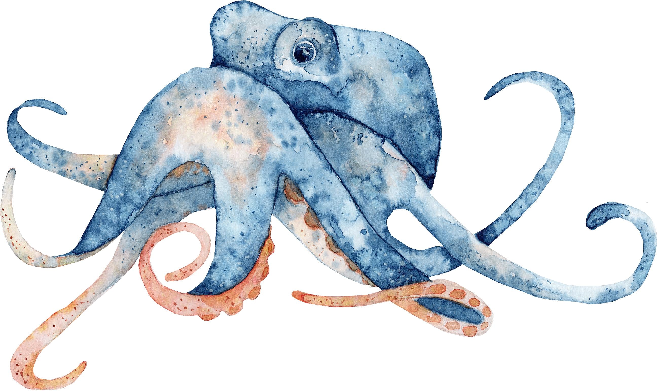 Watercolor Octopus #6 Wall Decal Navy Blue Orange Octopus Wall Sticker Removable Fabric Vinyl | DecalBaby