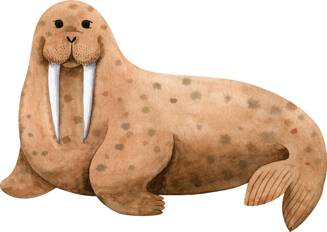 Cartoon Walrus Wall Decal Removable Fabric Wall Sticker | DecalBaby